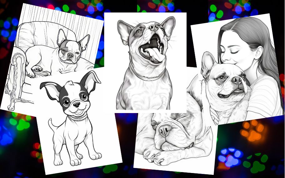 27 Beautiful Boston Terrier Coloring Pages