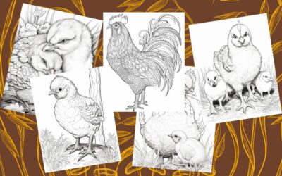 20 Cute Chicken Color Pages