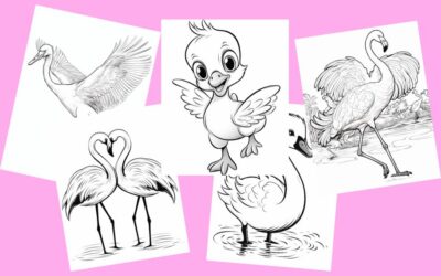 25 Fabulous Flamingo Coloring Pages