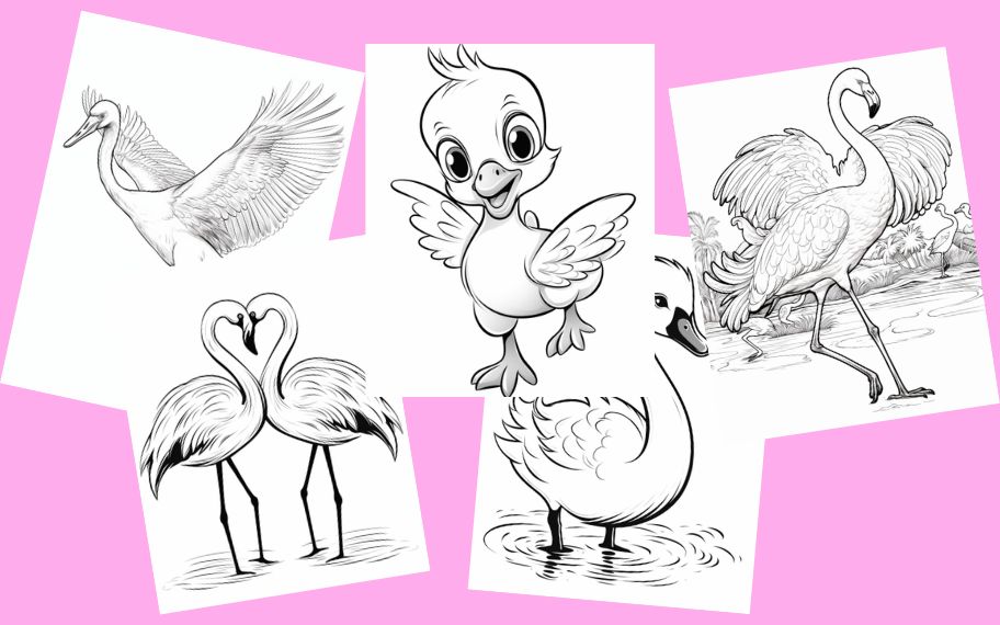 five black and white flamingo for coloring
