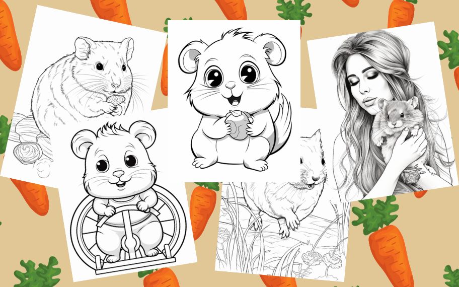 five coloring pages of hamsters