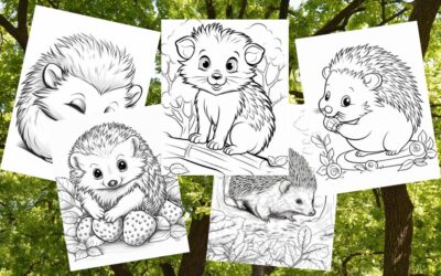 16 Spiky Hedgehog Coloring Pages