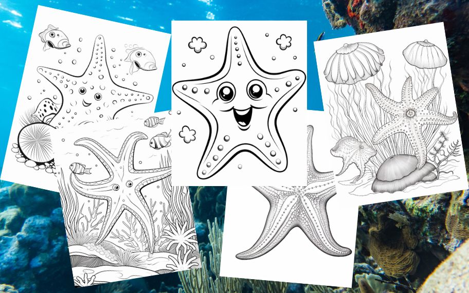33 Stunning Starfish Coloring Pages